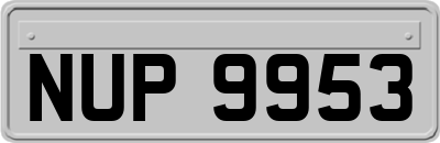 NUP9953