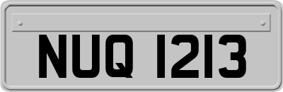 NUQ1213