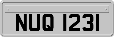 NUQ1231