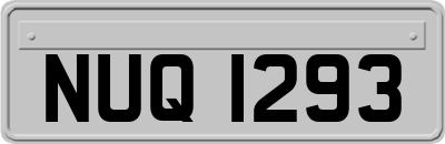 NUQ1293