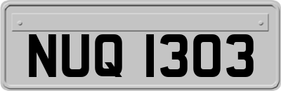 NUQ1303