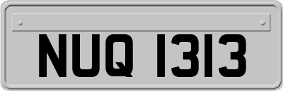 NUQ1313