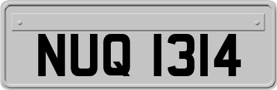 NUQ1314