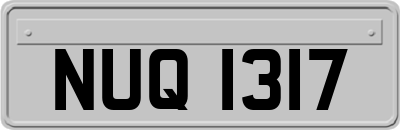 NUQ1317