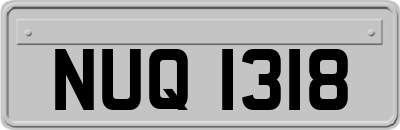 NUQ1318