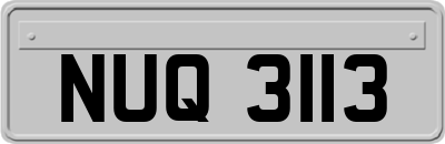 NUQ3113