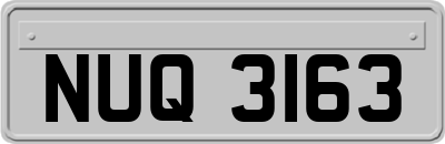 NUQ3163