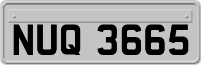NUQ3665
