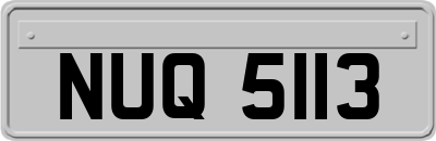 NUQ5113