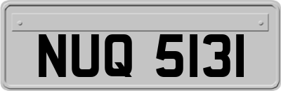 NUQ5131