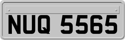 NUQ5565