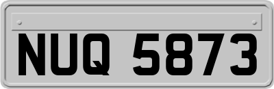 NUQ5873