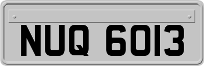 NUQ6013