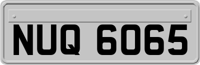 NUQ6065