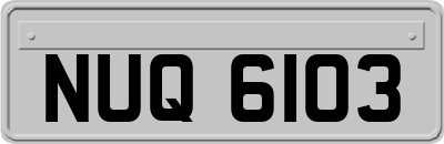 NUQ6103