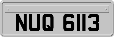 NUQ6113