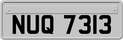 NUQ7313