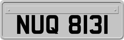 NUQ8131