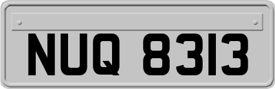 NUQ8313