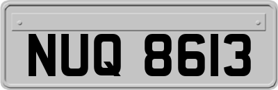 NUQ8613