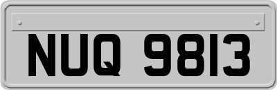 NUQ9813