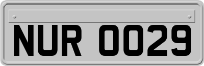 NUR0029
