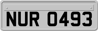 NUR0493
