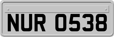 NUR0538