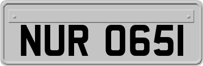 NUR0651