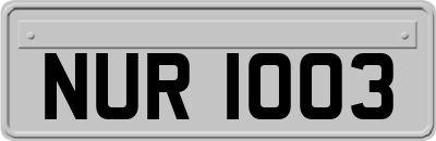 NUR1003