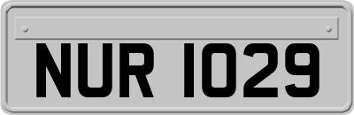 NUR1029