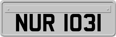 NUR1031