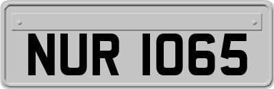 NUR1065