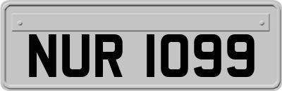 NUR1099