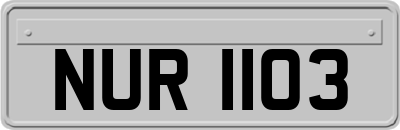 NUR1103