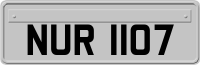 NUR1107