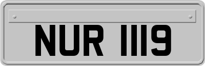 NUR1119
