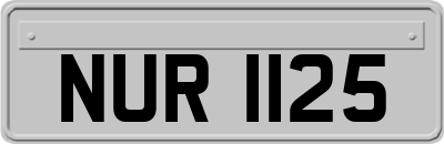 NUR1125