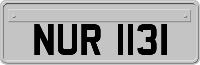 NUR1131