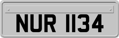 NUR1134