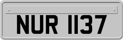 NUR1137