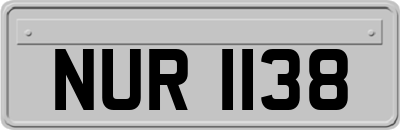NUR1138