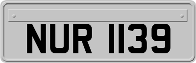 NUR1139