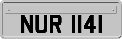 NUR1141