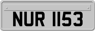 NUR1153