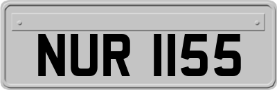 NUR1155