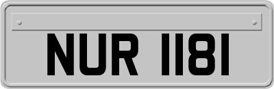 NUR1181