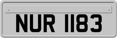 NUR1183