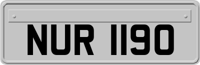 NUR1190