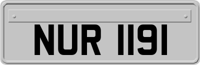 NUR1191